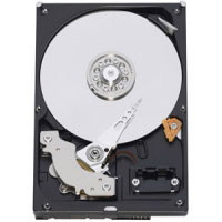 Western digital Caviar Blue, 320GB (WD3200AAKX)